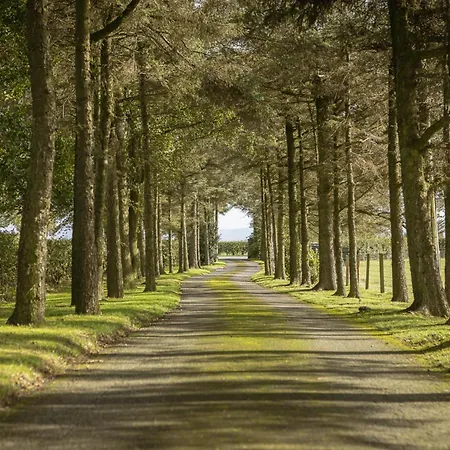 Harelands